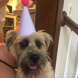 Meet your Posher, Ashley